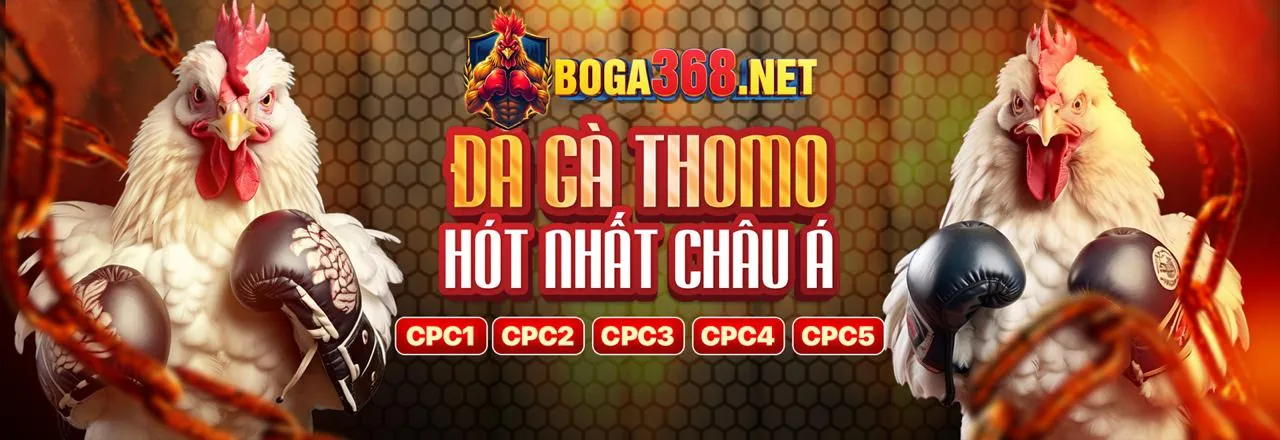 Các chương trình khuyến mãi hấp dẫn từ ty le keo nha cai 55